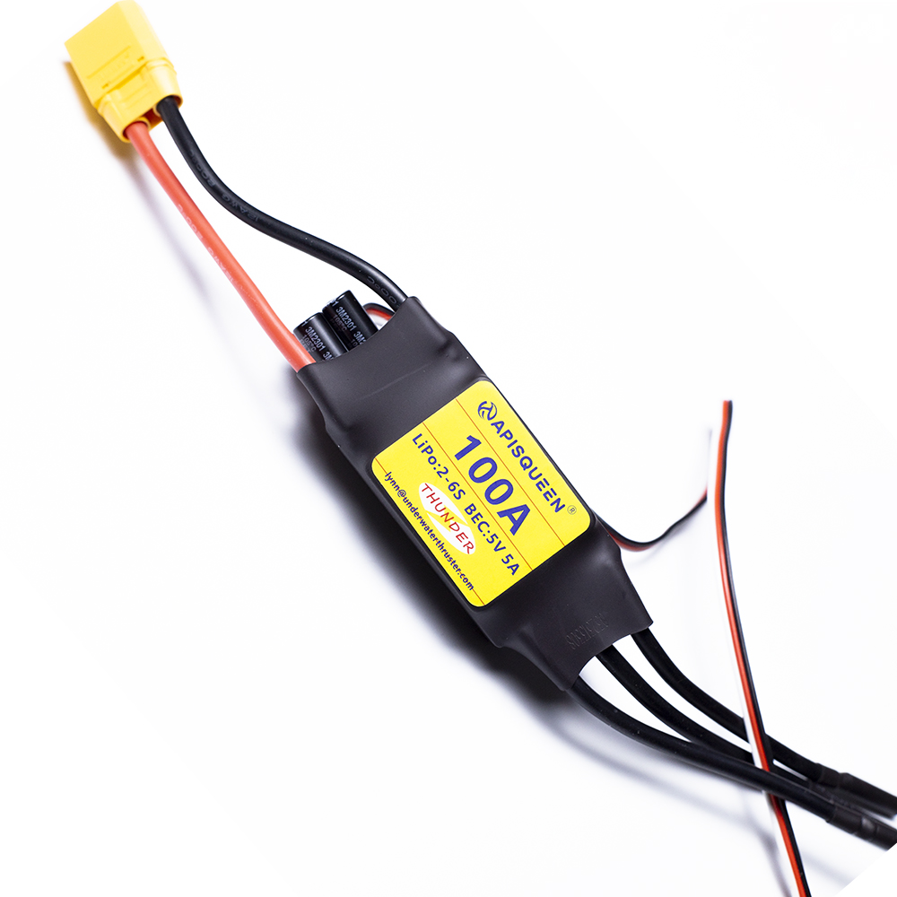 ApisQueen underwater 100A Brus - Rc Boat Brushless Motor 评论和价格