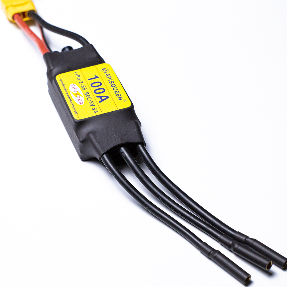 ApisQueen underwater 100A Brus - Rc Boat Brushless Motor 评论和价格